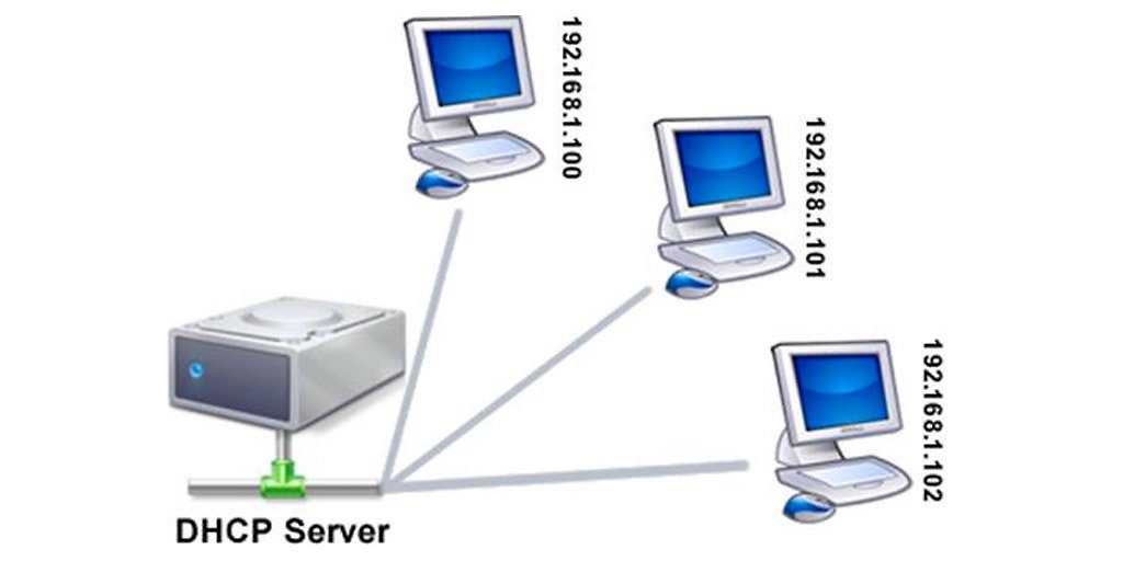 dhcp address assignment process