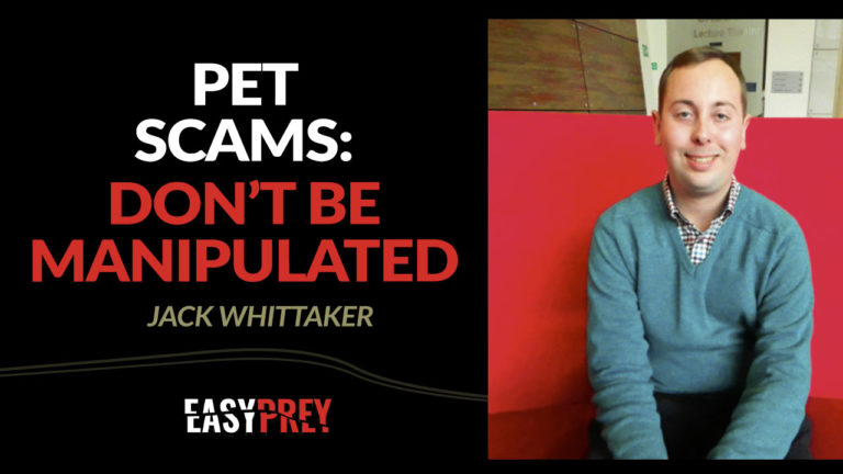 Pet Scams: How to Protect Yourself When Adopting Online