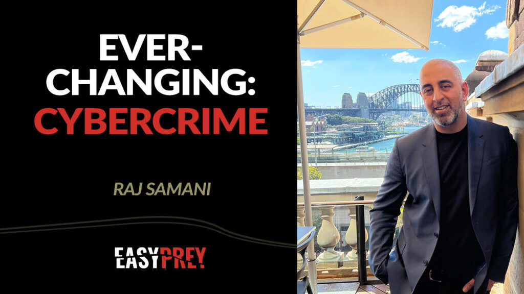 Raj Samani talks about the cost of cyber crime and why it worries him.