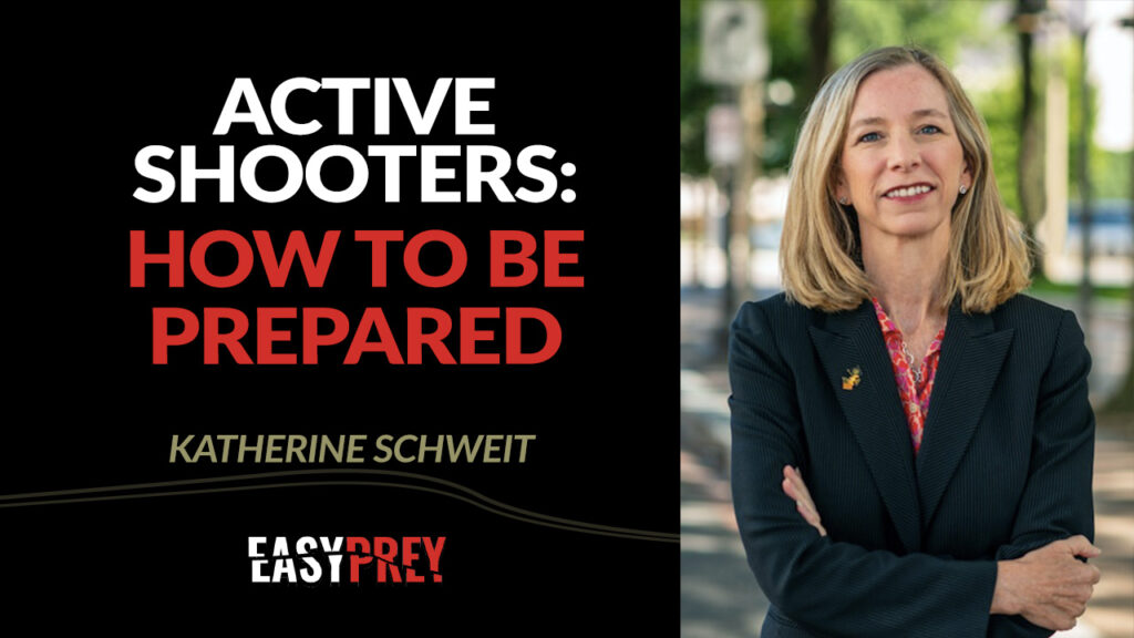 Katherine Schweit talks about gun violence, active shooter preparedness, and potential solutions.