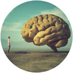 big brain