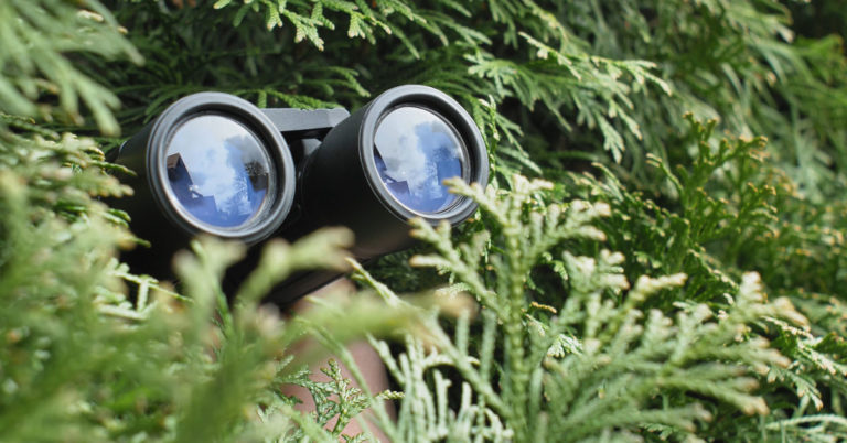 Spying