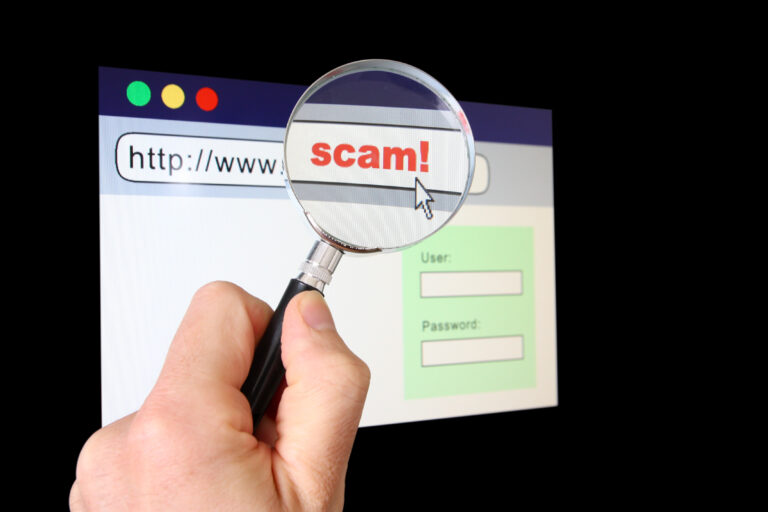 A fake website can be designed to look exactly like a real website - that's why it's important to check before you enter any information.